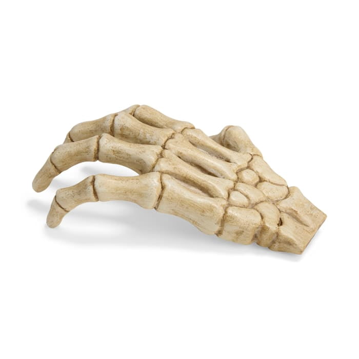 Petco Halloween Skeleton Claw Reptile Habitat Hideaway White Large
