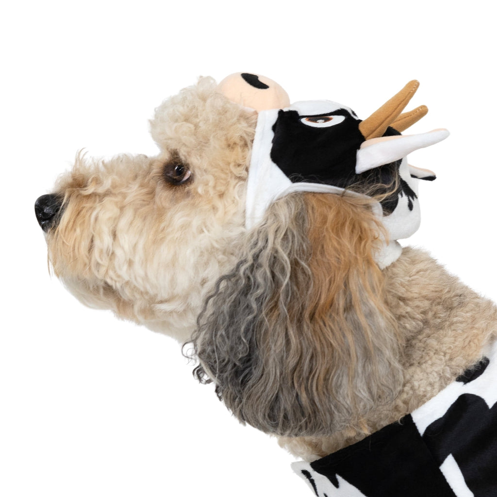 Vibrant Life Halloween Costume for Dogs & Cats, Cow, Black & White, Extra Small