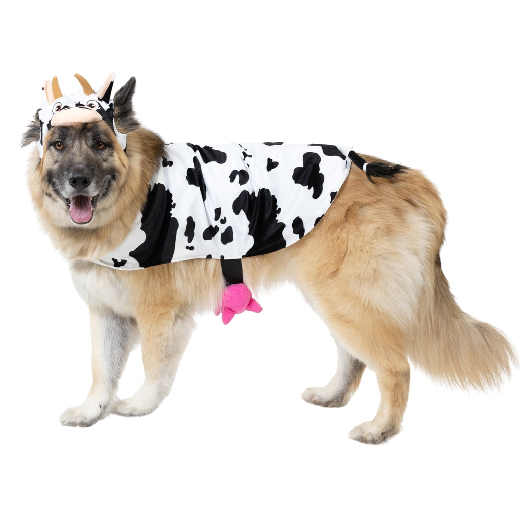 Vibrant Life Halloween Costume for Dogs & Cats, Cow, Black & White, Extra Small