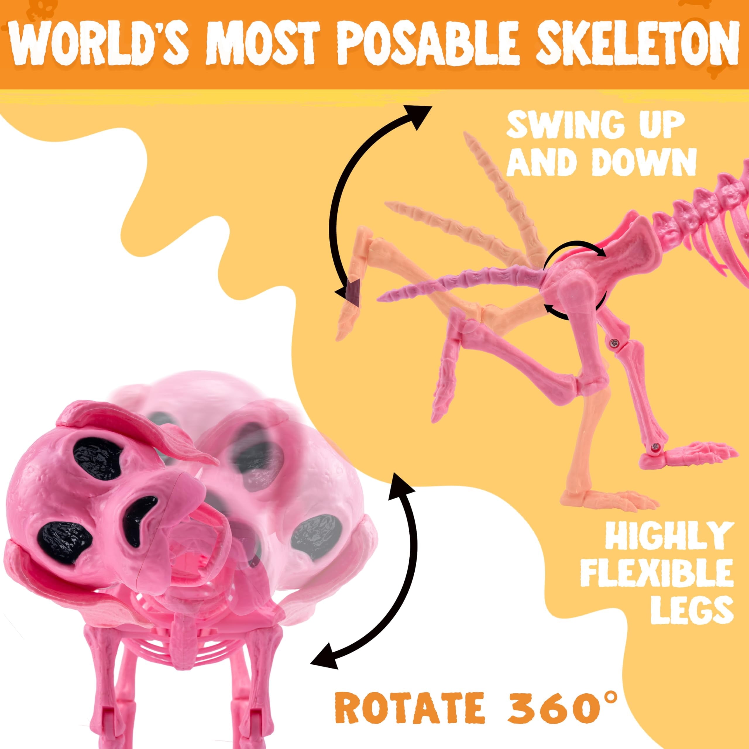 Joyfy 9.8 Inch Halloween Skeleton Dog Skeleton Halloween Decor,Pose-N-Stay Plastic Skeleton Bones with Posable Joints for Hallowmas Decoration Outdoor Haunted House Party