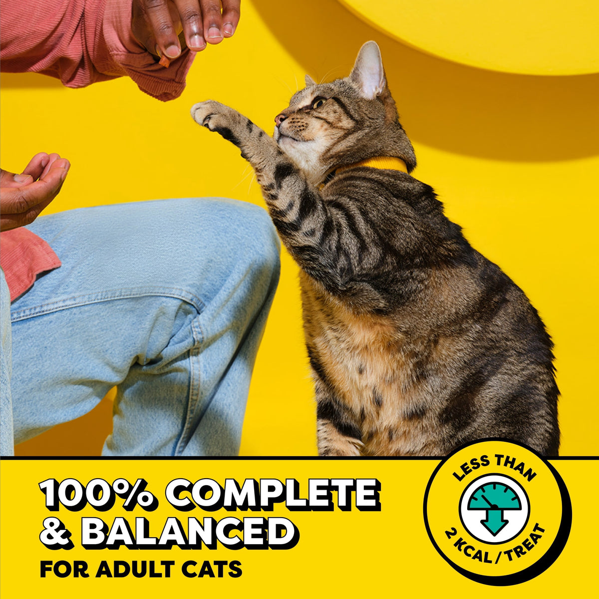 (4 pack) Temptations Mixups Crunchy and Soft Cat Treats Tasty Human, Chicken, Liver & Beef Flavors, 3 oz Pouch