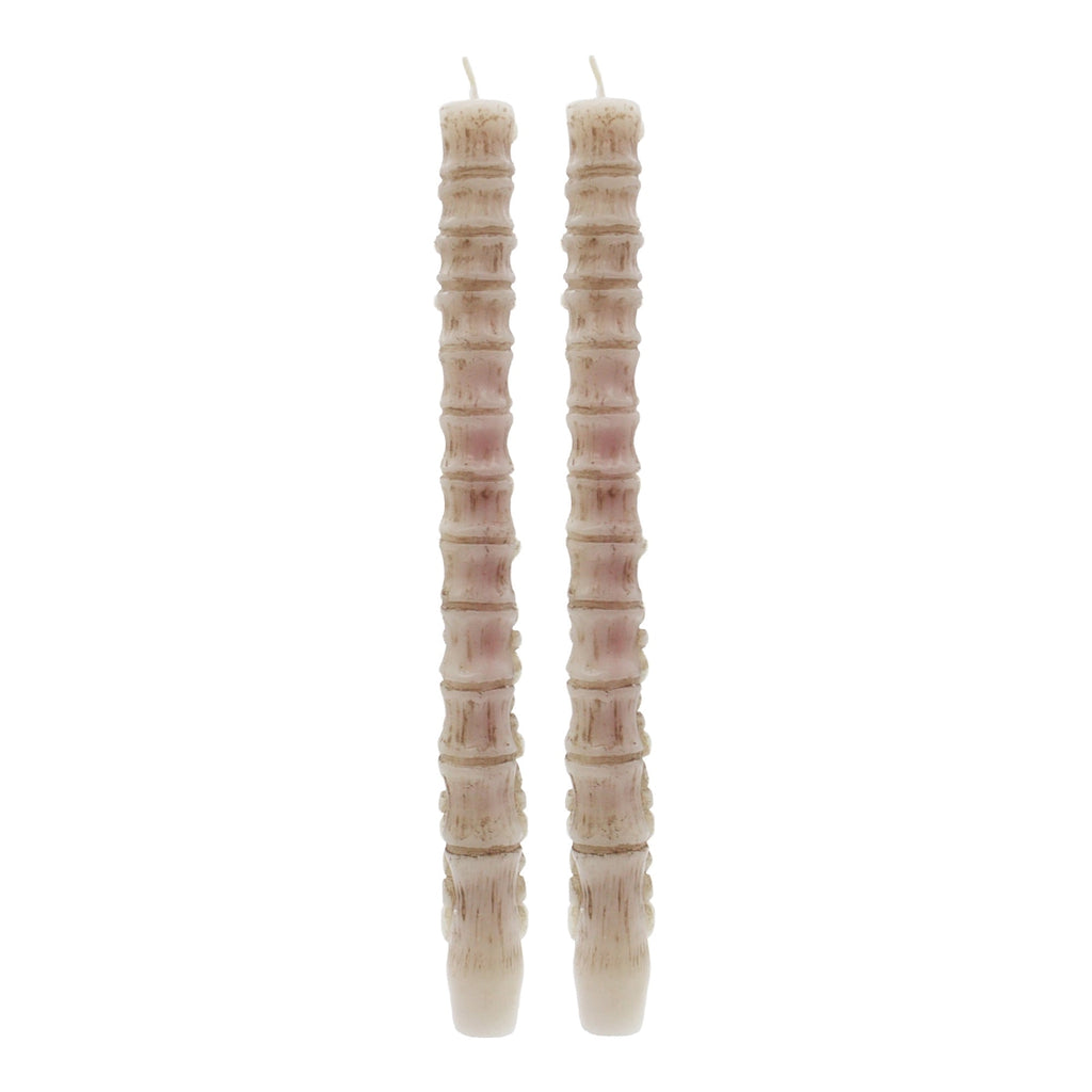 Bleeding Spine Taper Candles, 10", 2 Pieces, Halloween by Way To Celebrate