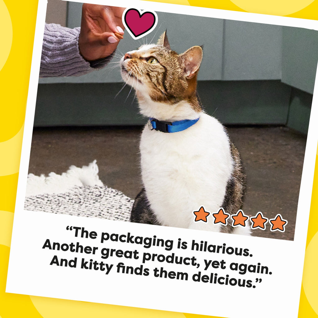 (4 pack) Temptations Mixups Crunchy and Soft Cat Treats Tasty Human, Chicken, Liver & Beef Flavors, 3 oz Pouch