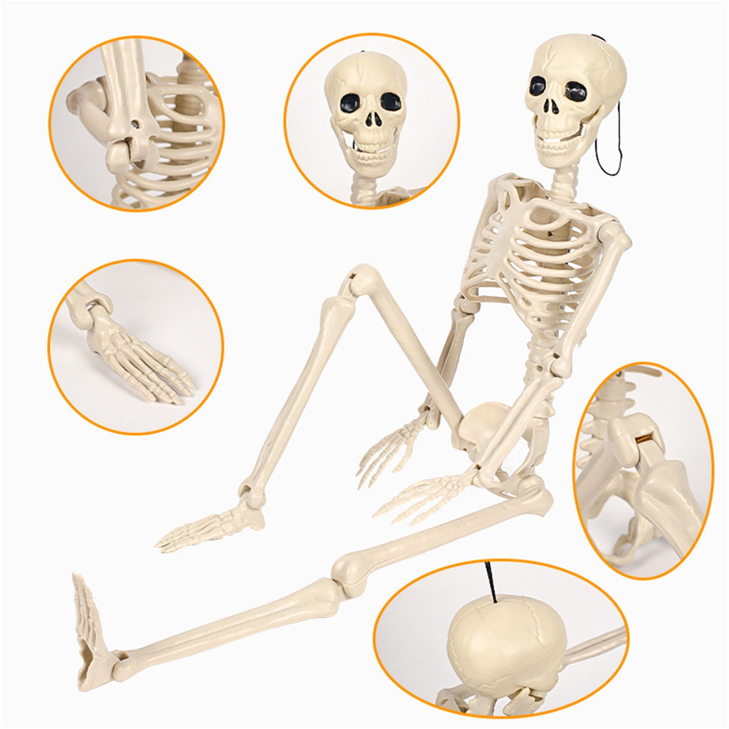 Halloween Skeleton Snake Prop Realistic Scary Serpent Decorative Ornament, Spooky Scene Setup Skeleton Decor Haunted House Party Prop, Home Shop Display Halloween Skeleton Holiday Ornament Gift