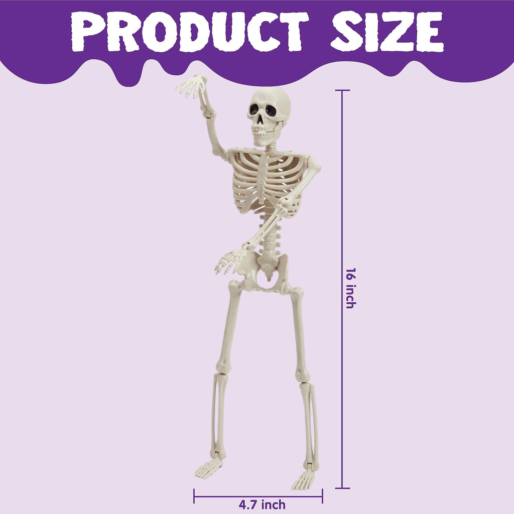 Joyfy 5 Pcs Halloween Skeleton Decorations,16 inch Full Body Poseable Skeleton with Movable Joints for Halloween Indoor Outdoor Party,Graveyard,Haunted House Accessories,White
