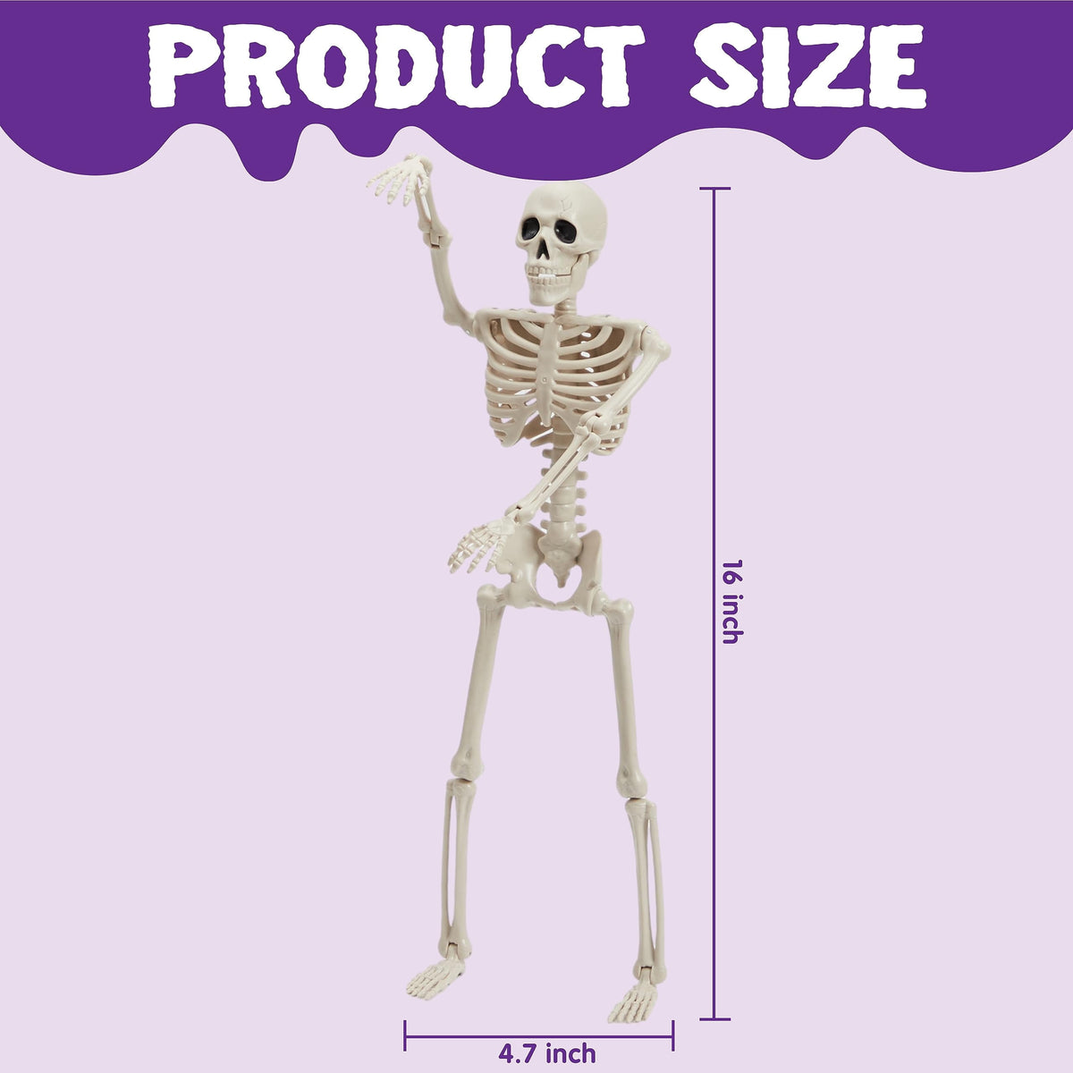 Joyfy 5 Pcs Halloween Skeleton Decorations,16 inch Full Body Poseable Skeleton with Movable Joints for Halloween Indoor Outdoor Party,Graveyard,Haunted House Accessories,White