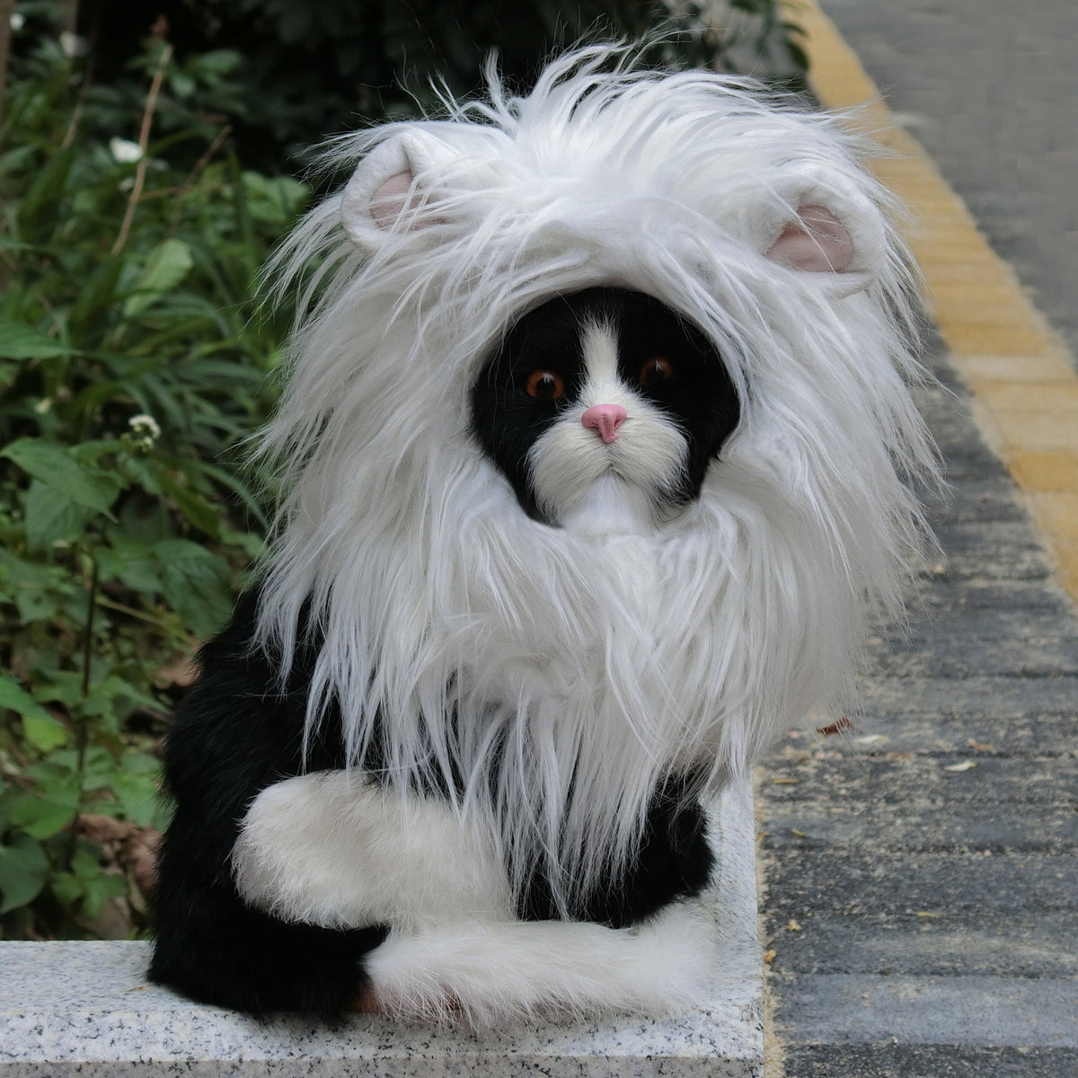 Lion Mane Wig for Cats, Funny Pet Cat Costumes for Halloween Christmas (Size S, Black)
