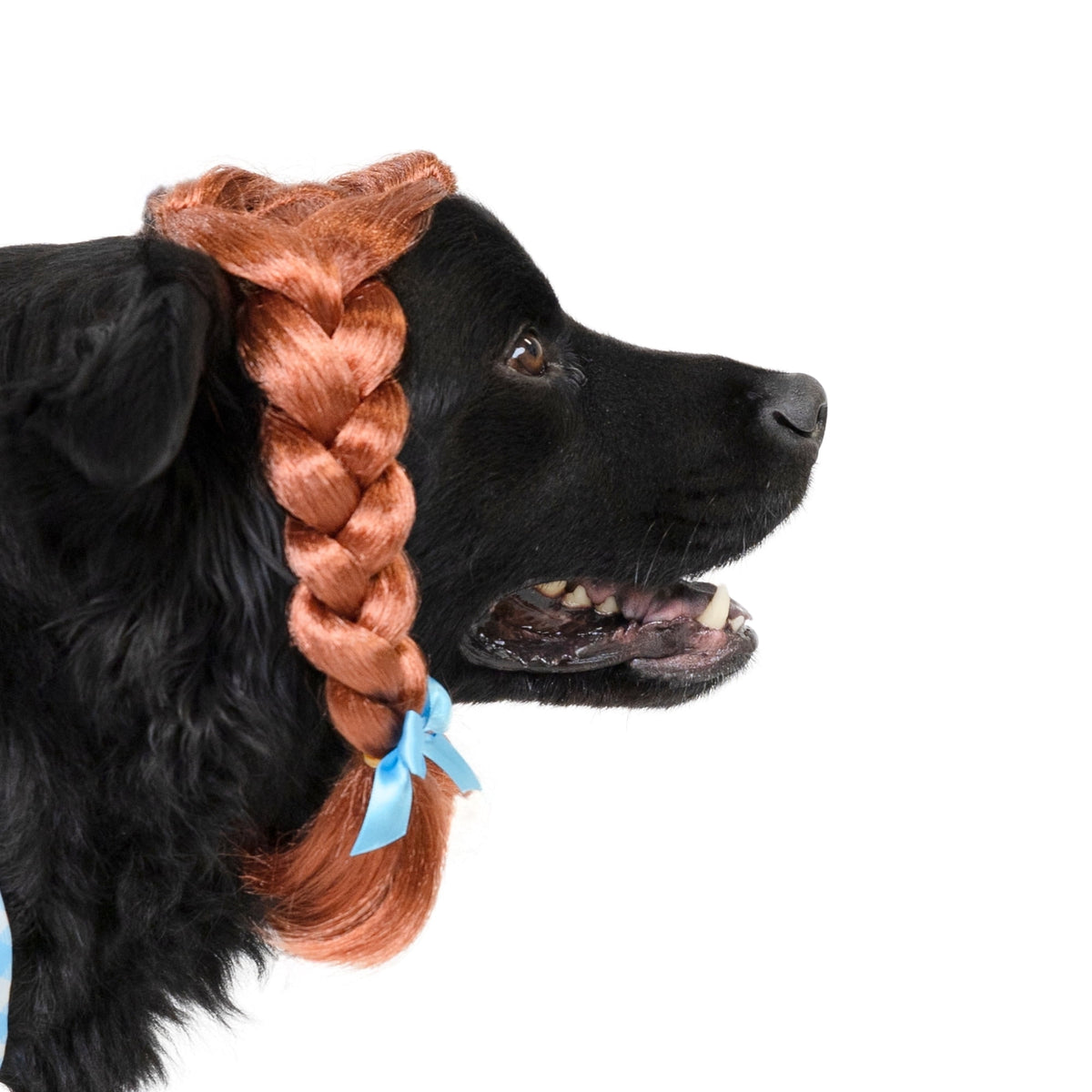 Vibrant Life Halloween Gingham Girl Costume for Dogs and Cats, Small