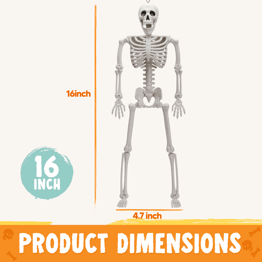 Joyfy 5 Pcs Halloween Skeleton Decorations,16 inch Full Body Poseable Skeleton with Movable Joints for Halloween Indoor Outdoor Party,Graveyard,Haunted House Accessories,White