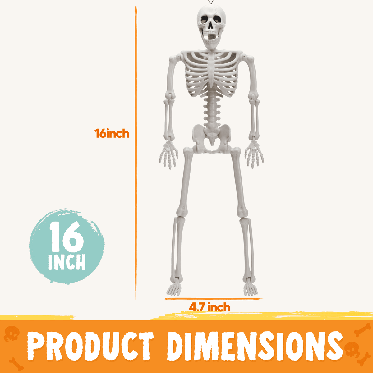 Joyfy 5 Pcs Halloween Skeleton Decorations,16 inch Full Body Poseable Skeleton with Movable Joints for Halloween Indoor Outdoor Party,Graveyard,Haunted House Accessories,White