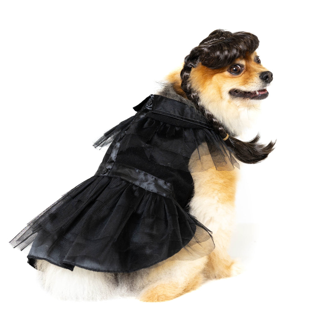 Vibrant Life Halloween Gothic Girl Costume for Dogs, Black, Large