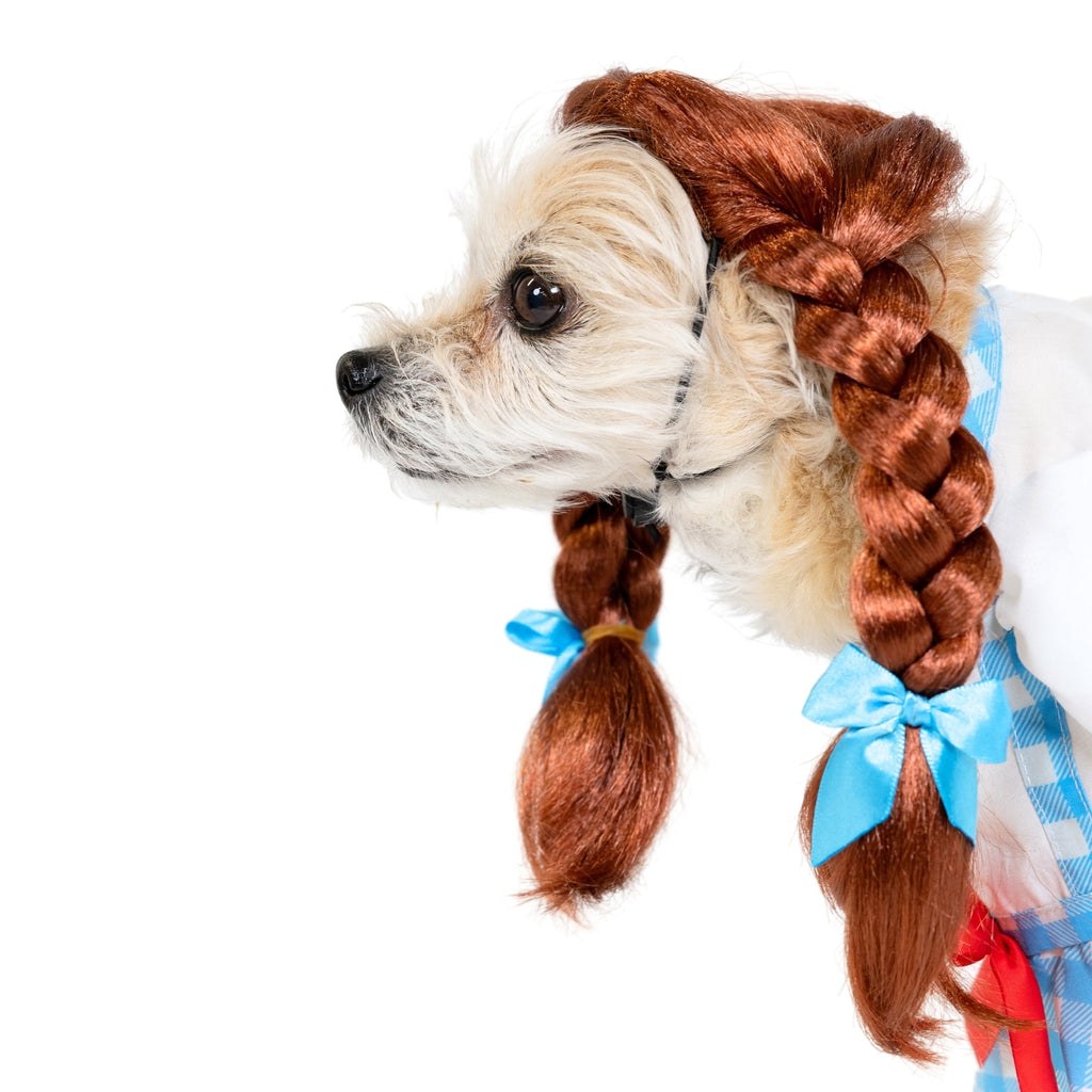 Vibrant Life Halloween Gingham Girl Costume for Dogs and Cats, Small