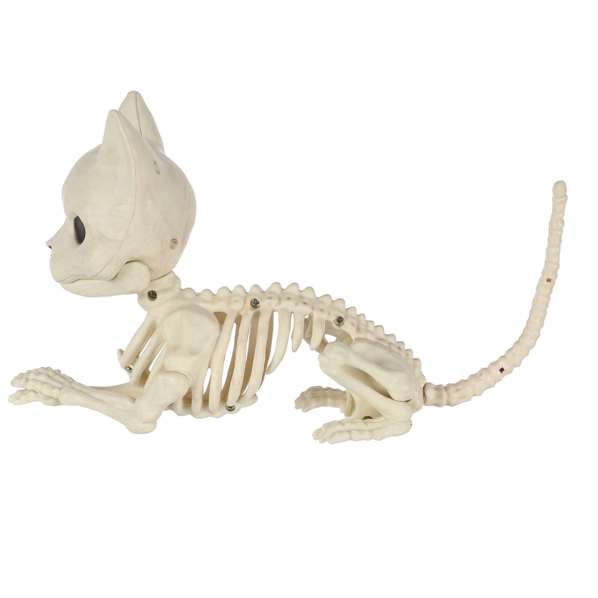 Faux Skeleton Cat Decoration, 5", Halloween by Way To Celebrate