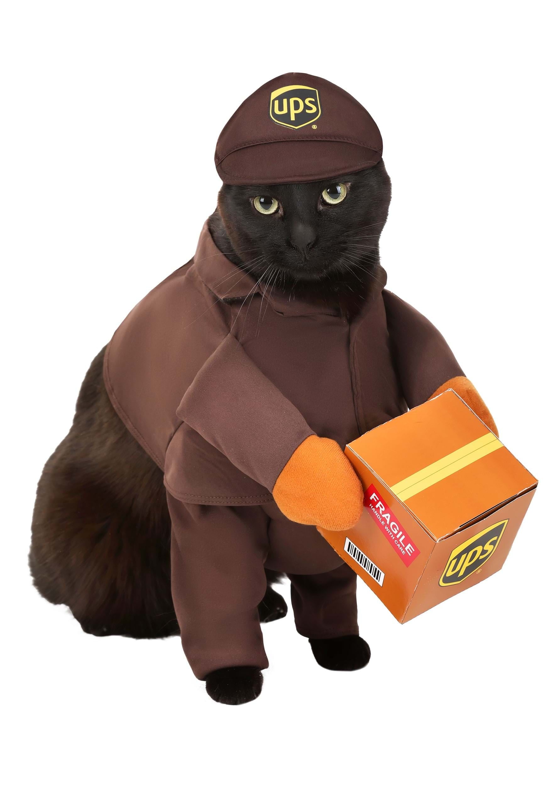 California Costumes UPS Pal Dog Costume | Small Unisex