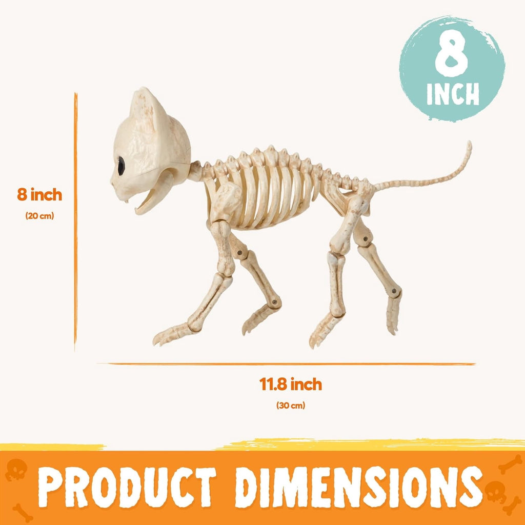 Joyfy 2 Pcs Cat Skeleton Halloween Decoration,7 Inch Posable Plastic Animals Halloween Skeleton for Indoor Outdoor Halloween Decorations,Haunted House Party Props