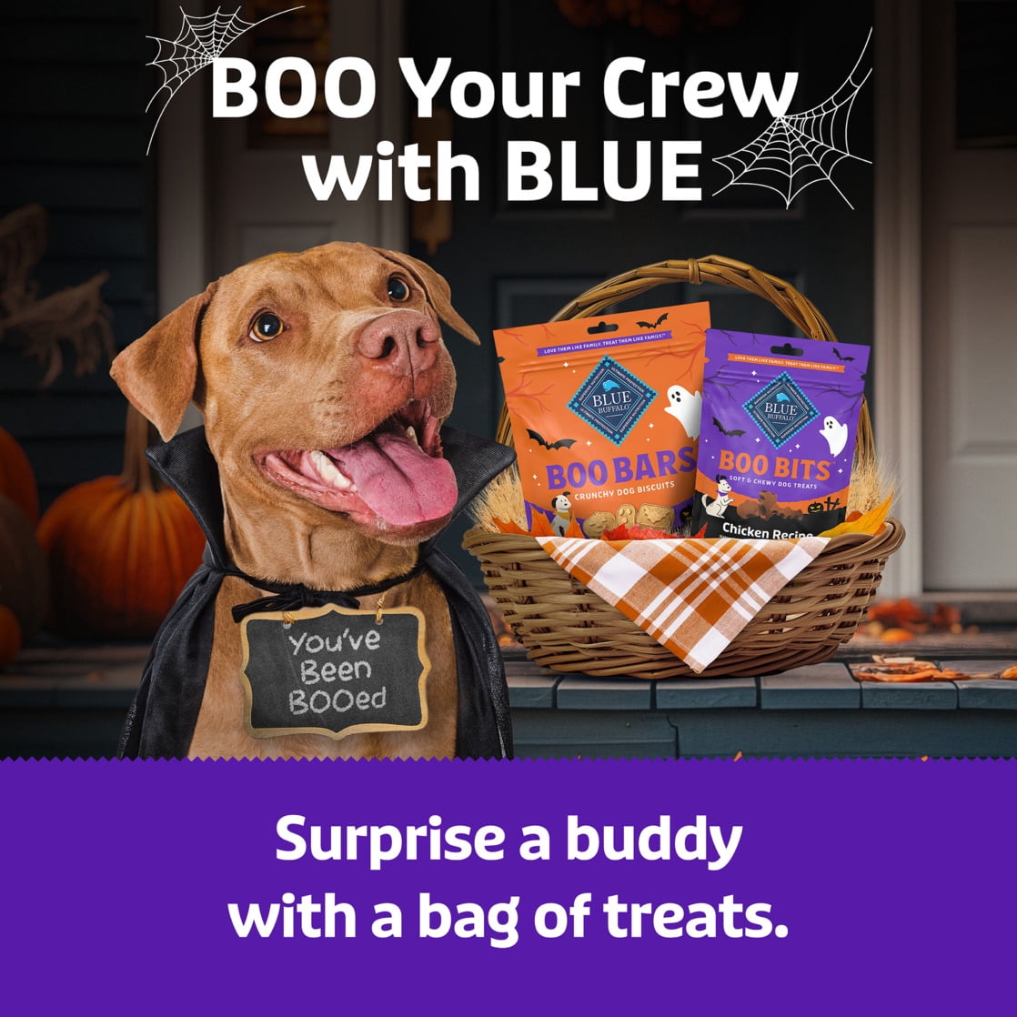 Blue Buffalo Boo Bars Crunchy Halloween Dog Biscuits Pumpkin & Cinnamon Recipe 11-oz Bag