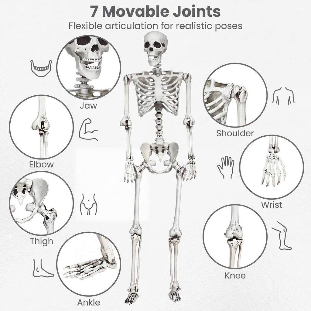 Costway 5.4ft Halloween Christmas Skeleton Life Size Realistic Full Body Hanging with Movable Joints 63 Inches