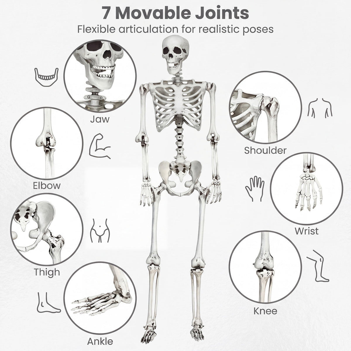 Costway 5.4ft Halloween Christmas Skeleton Life Size Realistic Full Body Hanging with Movable Joints 63 Inches