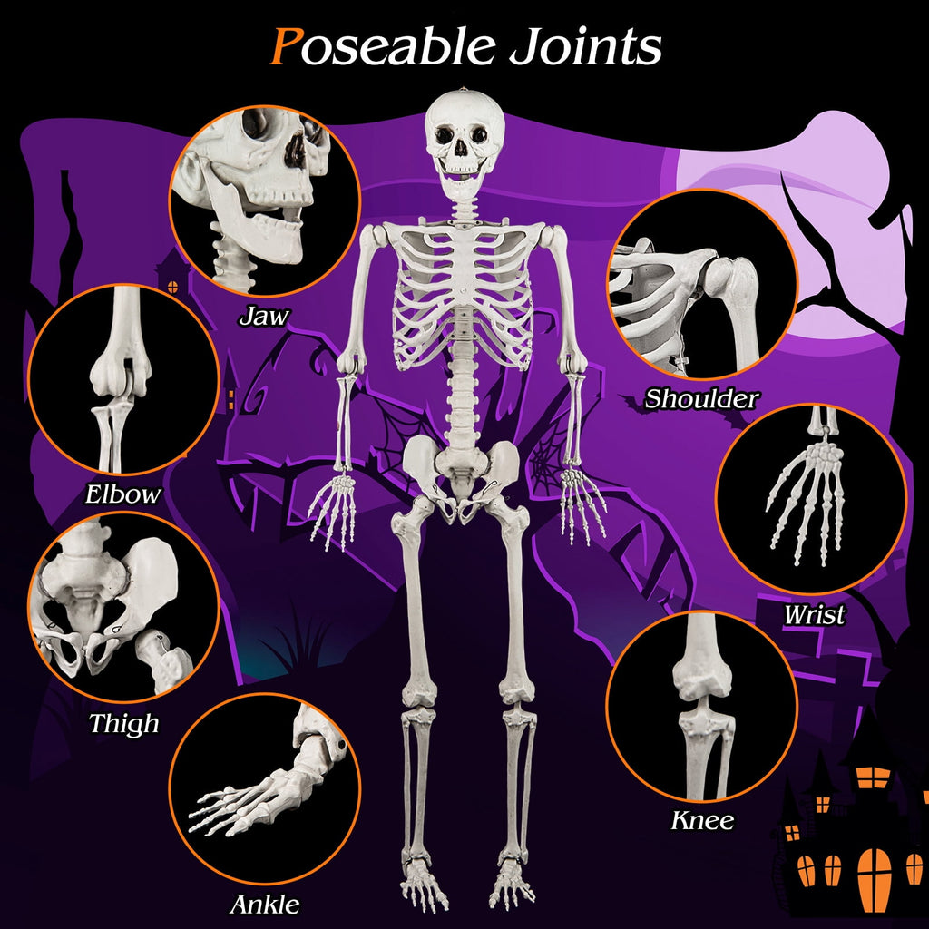 Costway 5.4ft Halloween Christmas Skeleton Life Size Realistic Full Body Hanging with Movable Joints 63 Inches