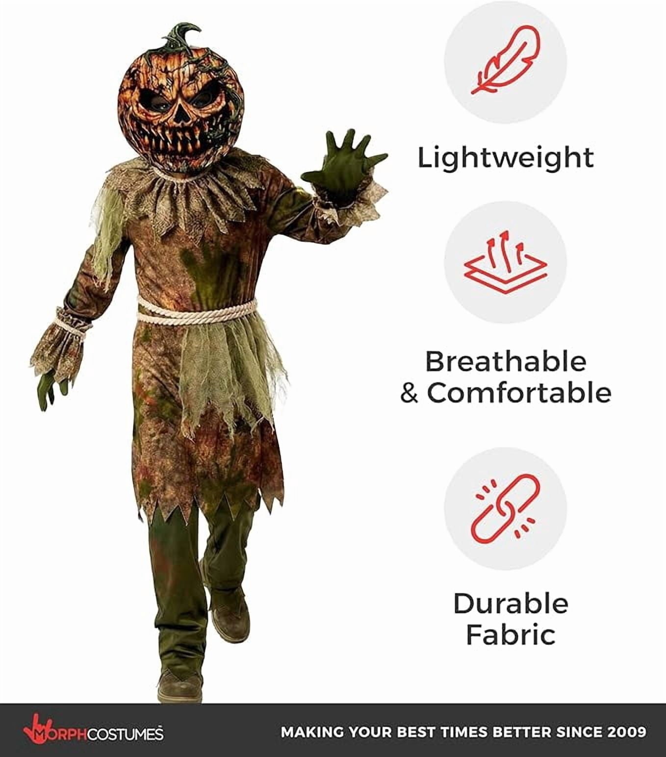 Morph Scarecrow Pumpkin Boys Halloween Costume for Boy Brown Large