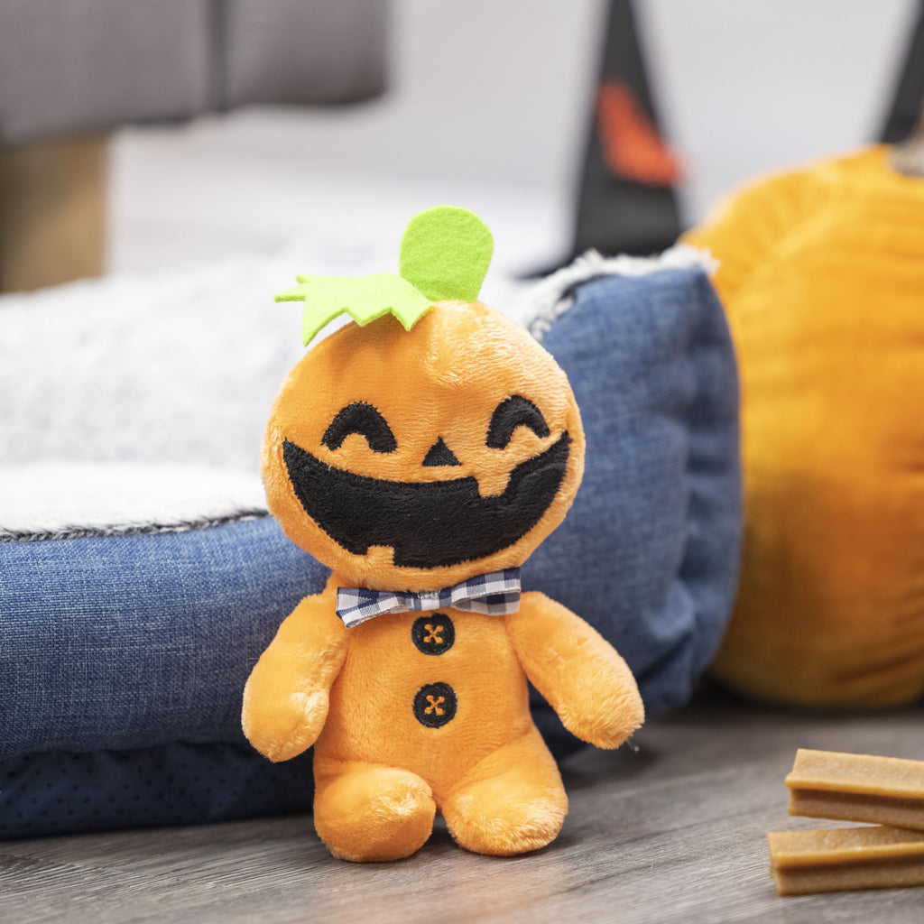 Vibrant Life Halloween 6.25in Squeaky Plush Dog Toy, Pumpkin Boy, Orange, Orange