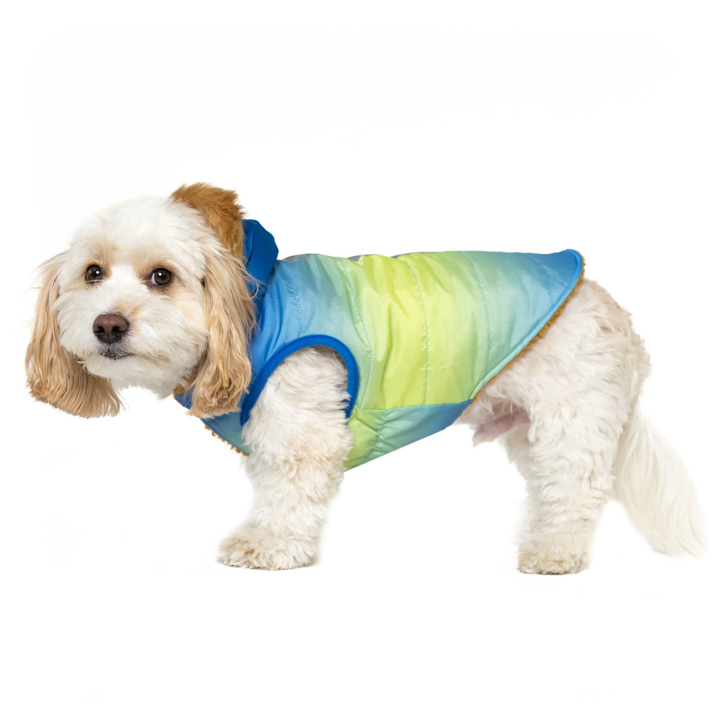 Vibrant Life Pet Hooded Jacket, Blue Ombre, S