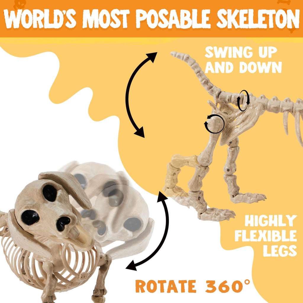 Joyfy 9.8 Inch Halloween Skeleton Dog Skeleton Halloween Decor,Pose-N-Stay Plastic Skeleton Bones with Posable Joints for Hallowmas Decoration Outdoor Haunted House Party