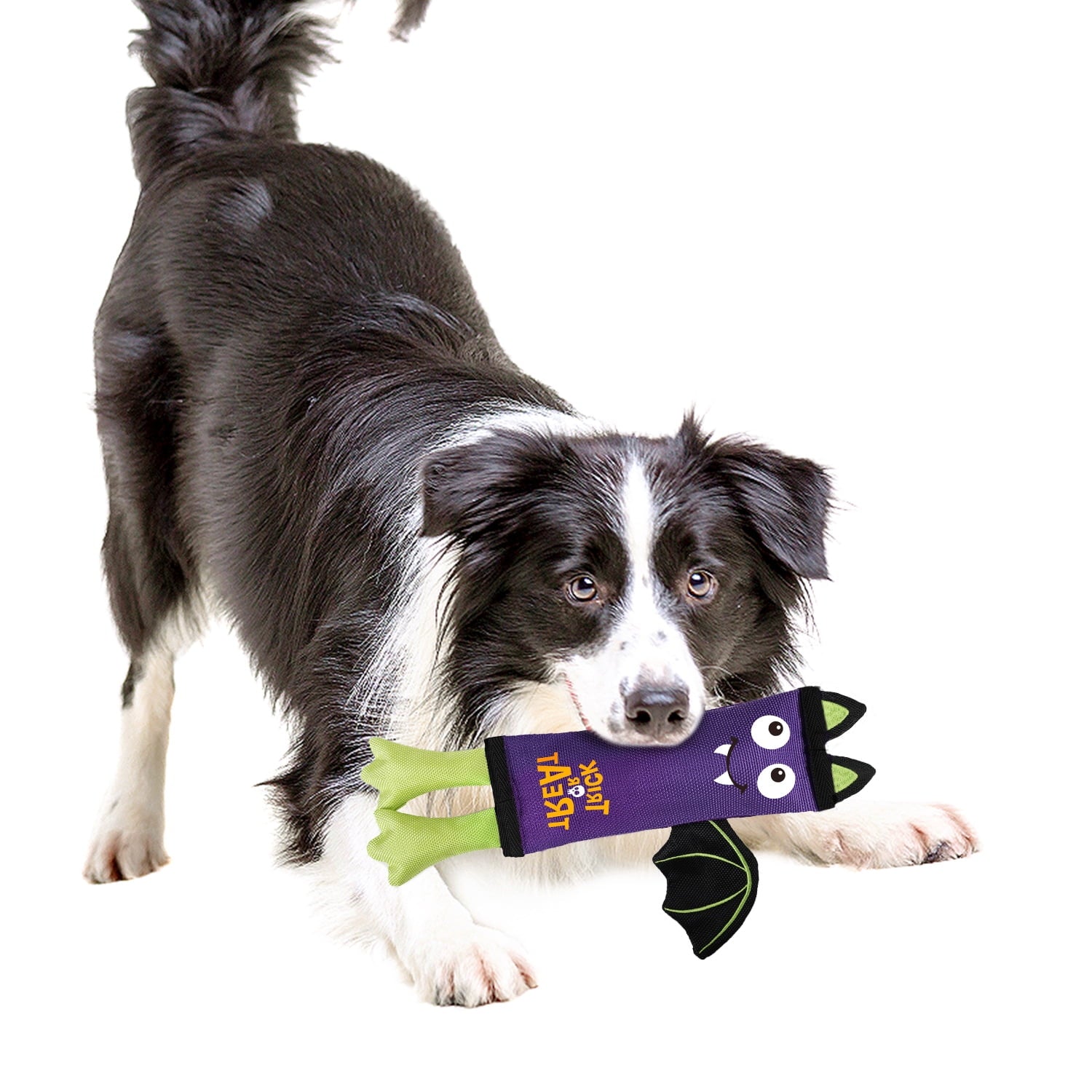 All For Paws Halloween 4-Pack Dog Toy Set - Gift Box Includes Dog Lick Mat, Puppy Squeaky Firehose Toy, Latex Dog Chew Toy & Dog Treat Dispenser