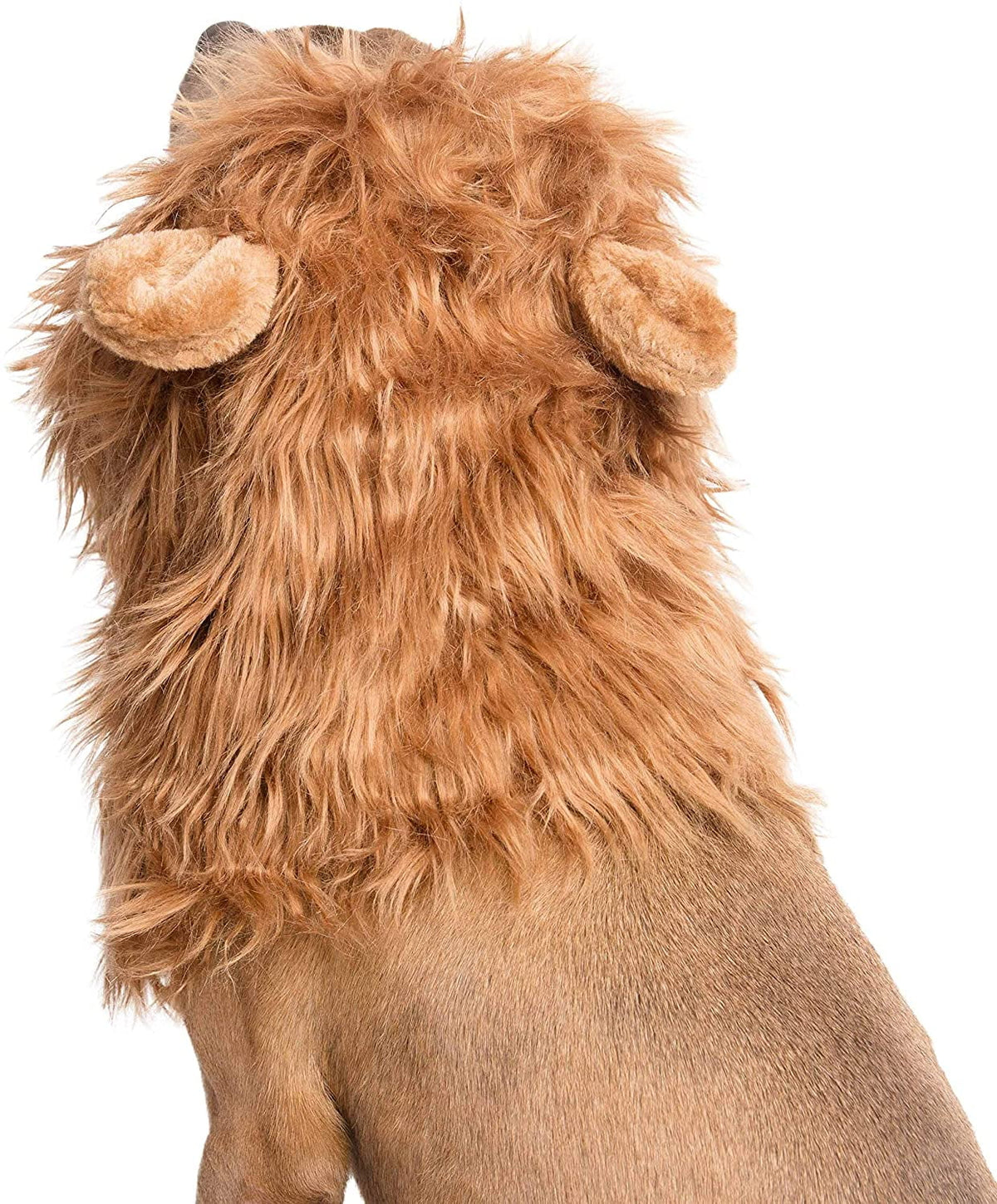 Pet Krewe Dog Lion Mane Halloween Costume Lion Mane for Large and Small Dogs – Ideal for Halloween, Dog Birthday, Dog Cosplay, Dog Outfits, Pet Clothes