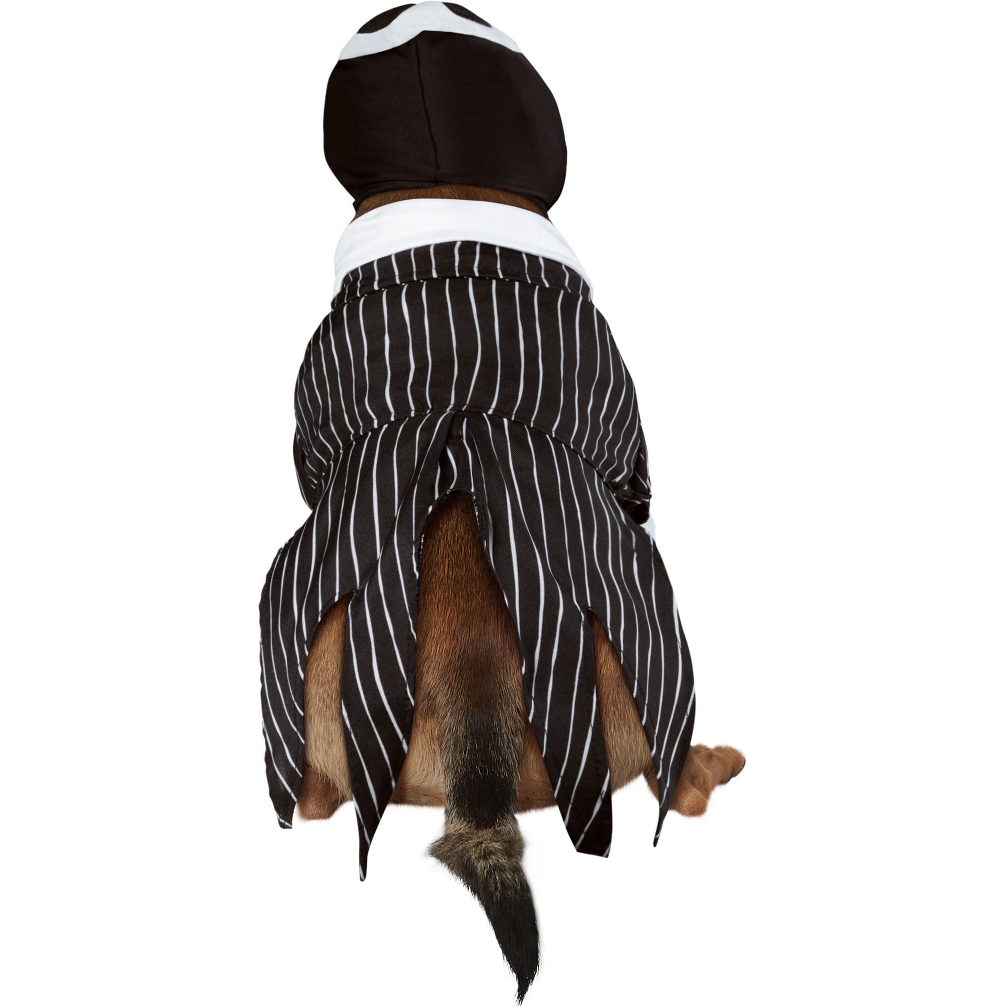 Disney The Nightmare Before Christmas Jack Skellington Pet Costume for Dogs or Cats by Rubies, Small