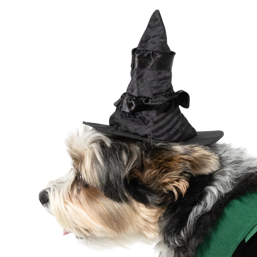 Vibrant Life Halloween Bad Witch Costume for Dogs, Green and Black, Extra Large