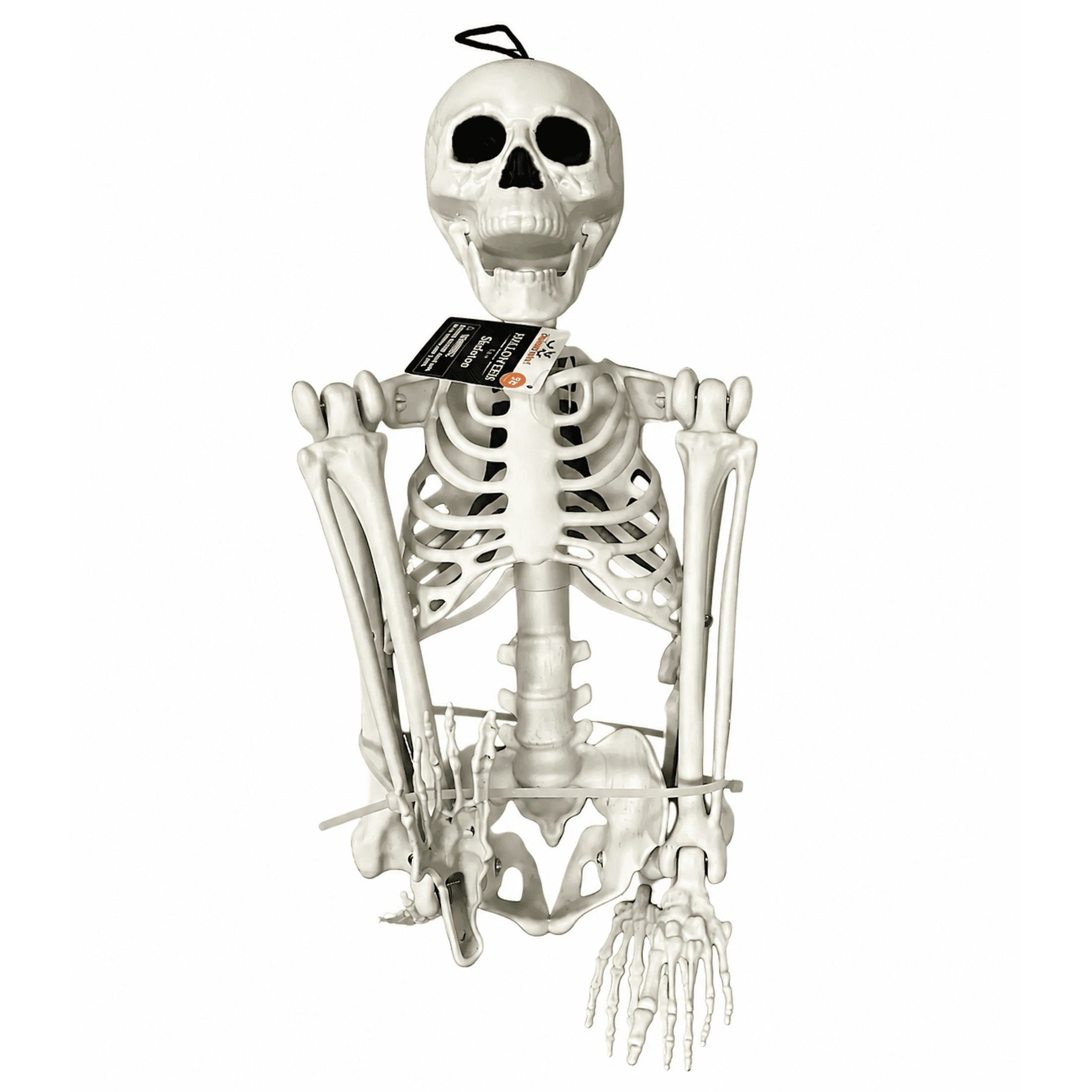 Faux Skeleton Decoration, White, 35", Halloween by Way To Celebrate