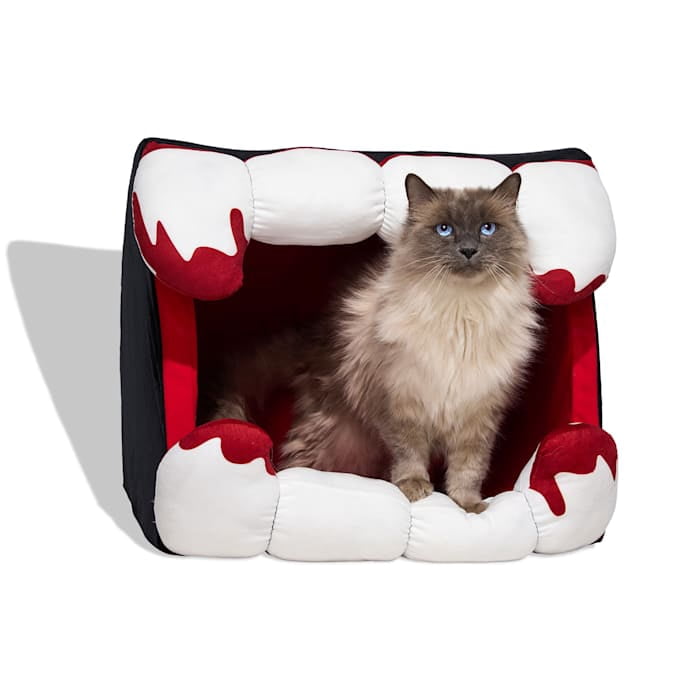 Petco Halloween Vampire Fangs Hooded Pet Bed 17" L x 20" H x 15" D Medium