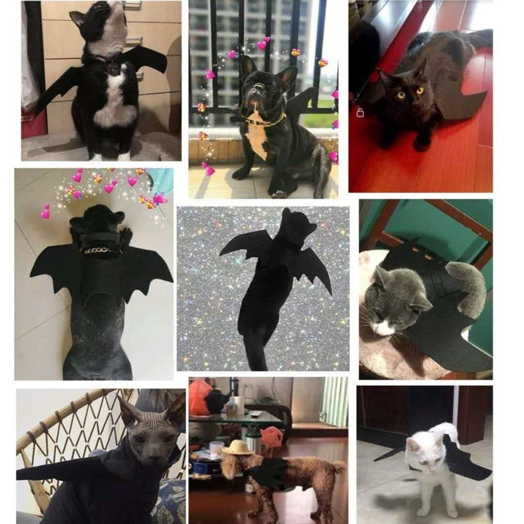 WILLED Adjustable Pet Costume Collar - Bat-Themed Dress Up Accessories for Cats & Dogs, Halloween Party Decoration