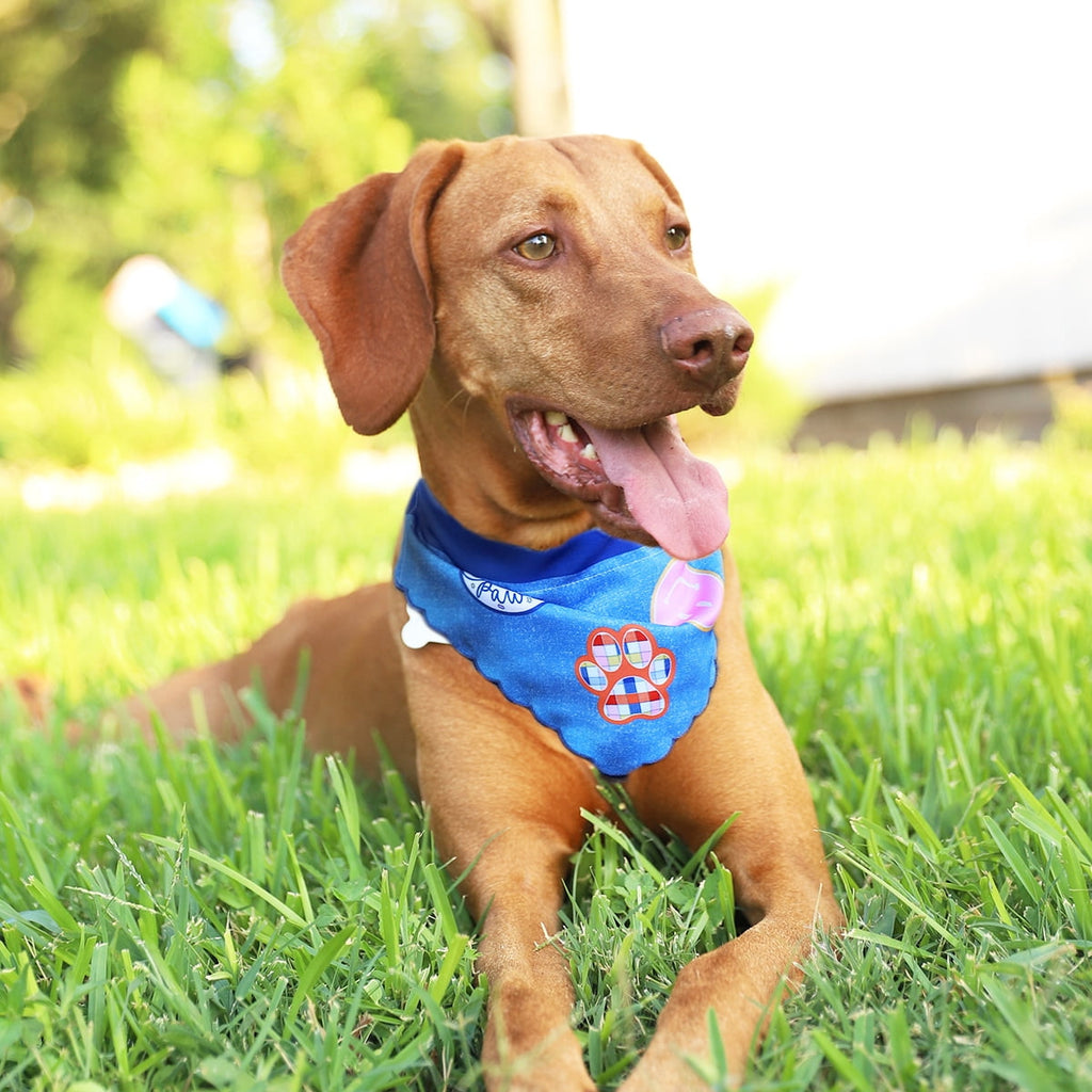 Packed Party Bandana for Dogs, Patches, Extra Small/Small