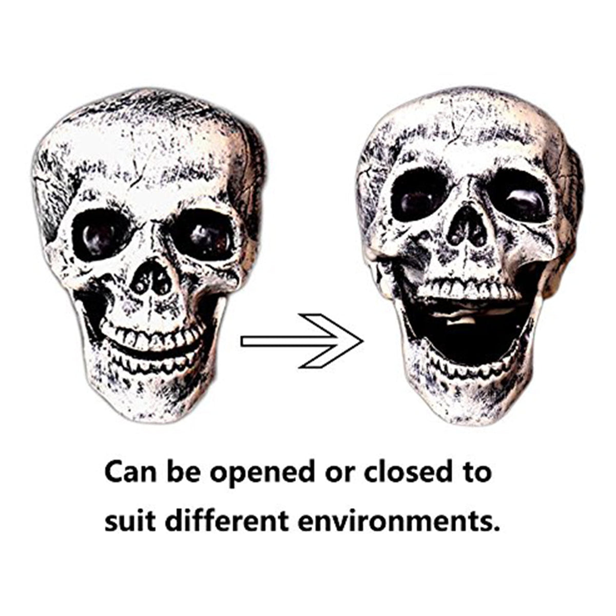 Halloween Skeleton Stakes, Realistic Skull & Skeleton Hand Yard Stakes for Outdoor Graveyard Lawn Garden Party Decor
