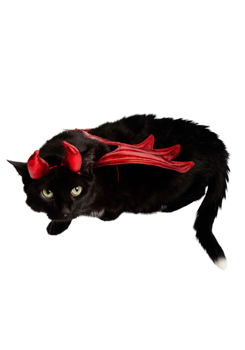 Pet Krewe Devil Dog Costume - Halloween Costumes for Dogs - Attaches to Any Pet Harness, One Size Fits All Pets