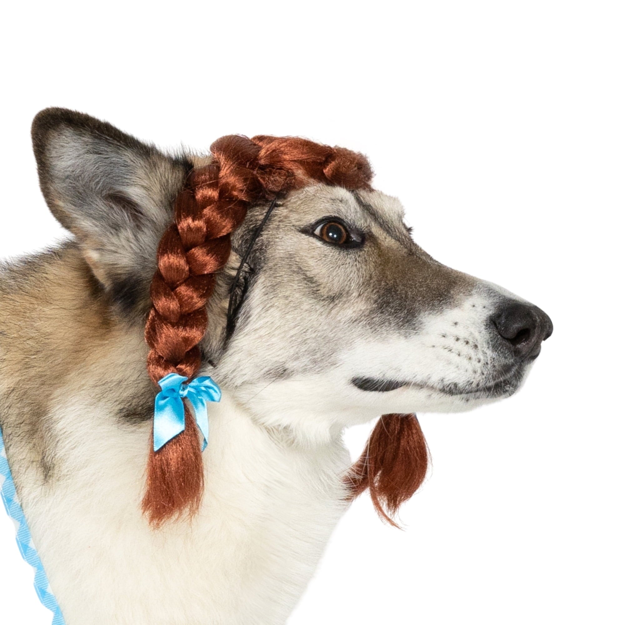 Vibrant Life Halloween Gingham Girl Costume for Dogs and Cats, Small