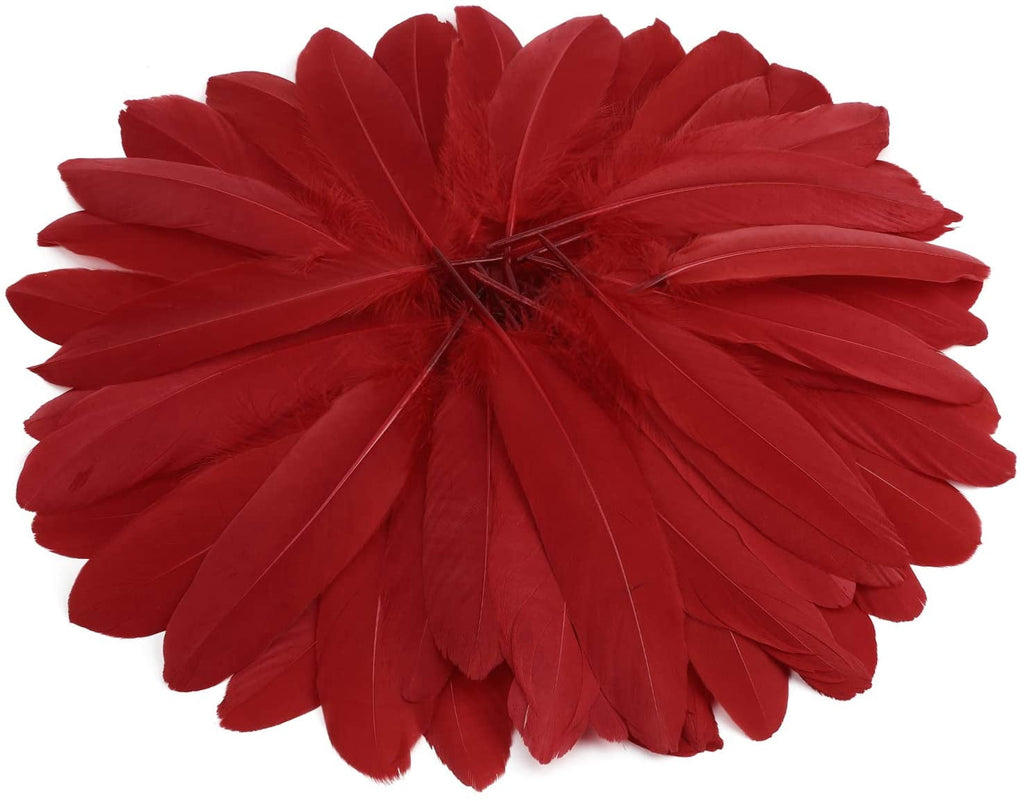 600PCS Red Feathers, 3-4.7 inch Feathers Bulk for DIY Crafts Wedding Halloween Costume Party Decorations Dream Catcher Supplies