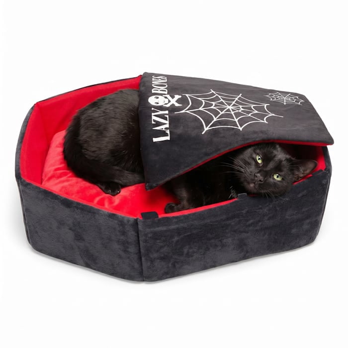 Petco Halloween Coffin Pet Bed, 24" L x 18" W x 7.5" D, Medium