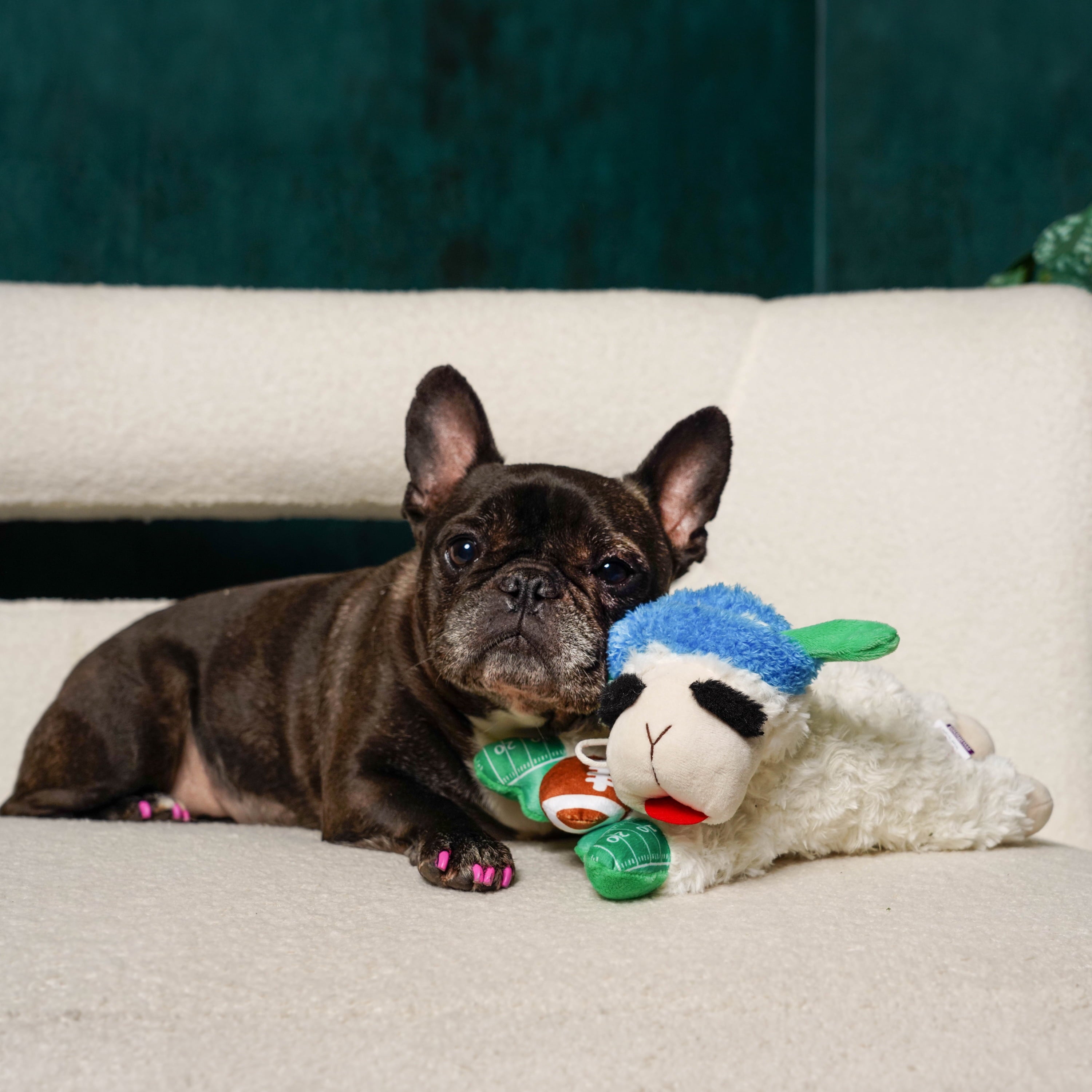 Multipet Lamb Chop Pupkin Spice Latte Dog Toy