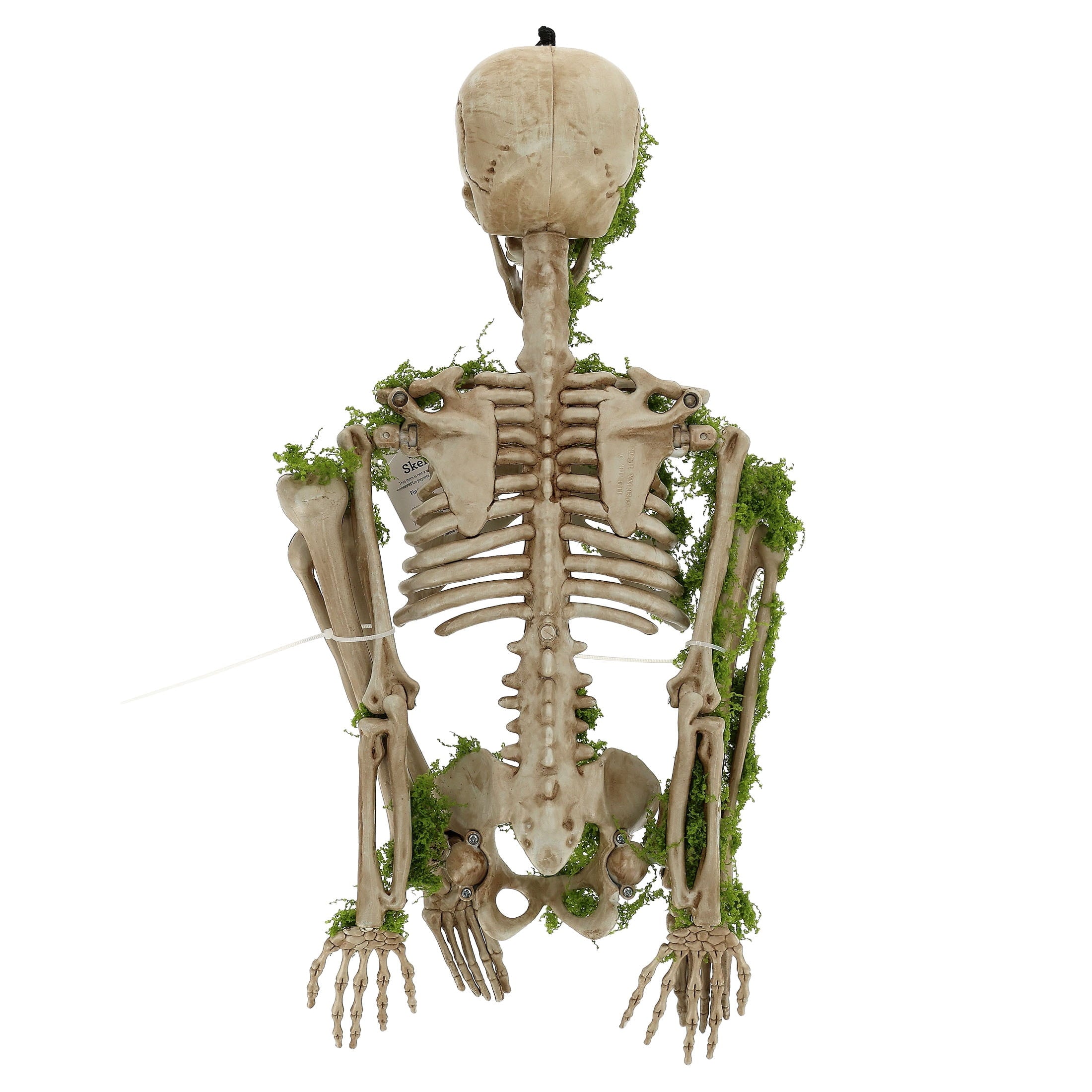 Moss Skeleton Decoration, Multicolor, 35.4", Halloween by Way To Celebrate