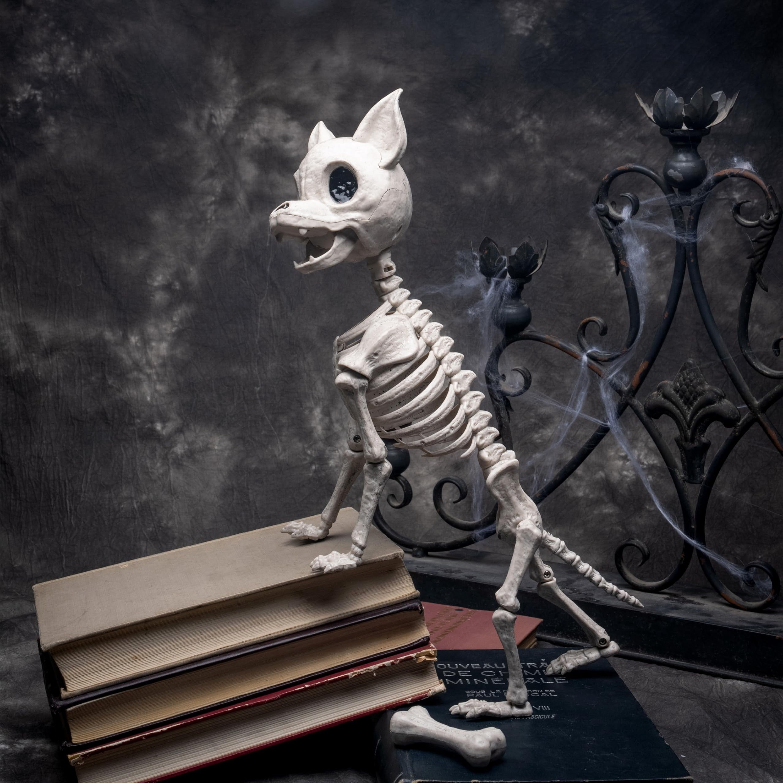 Joyfy 9.8 Inch Halloween Skeleton Dog Skeleton Halloween Decor,Pose-N-Stay Plastic Skeleton Bones with Posable Joints for Hallowmas Decoration Outdoor Haunted House Party