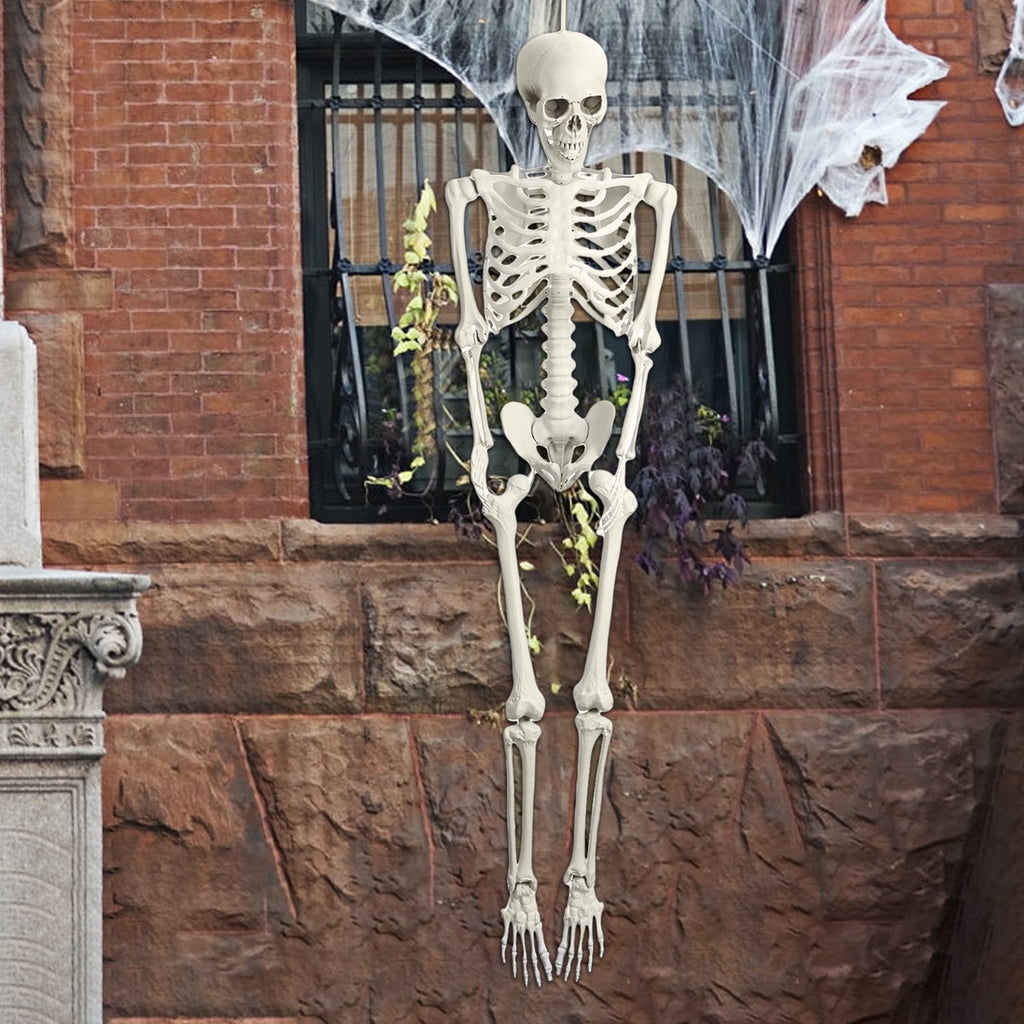 Kitem Skeleton Prop 5.4ft Poseable Life Size Halloween Decoration Plastic Full Body Human Bones Skeleton Party Supplies 1pc