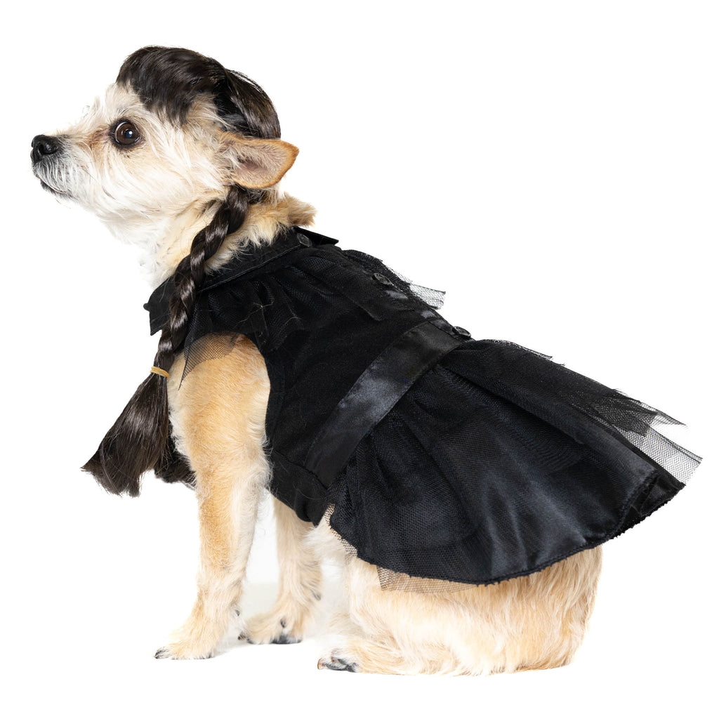 Vibrant Life Halloween Gothic Girl Costume for Dogs, Black, Large