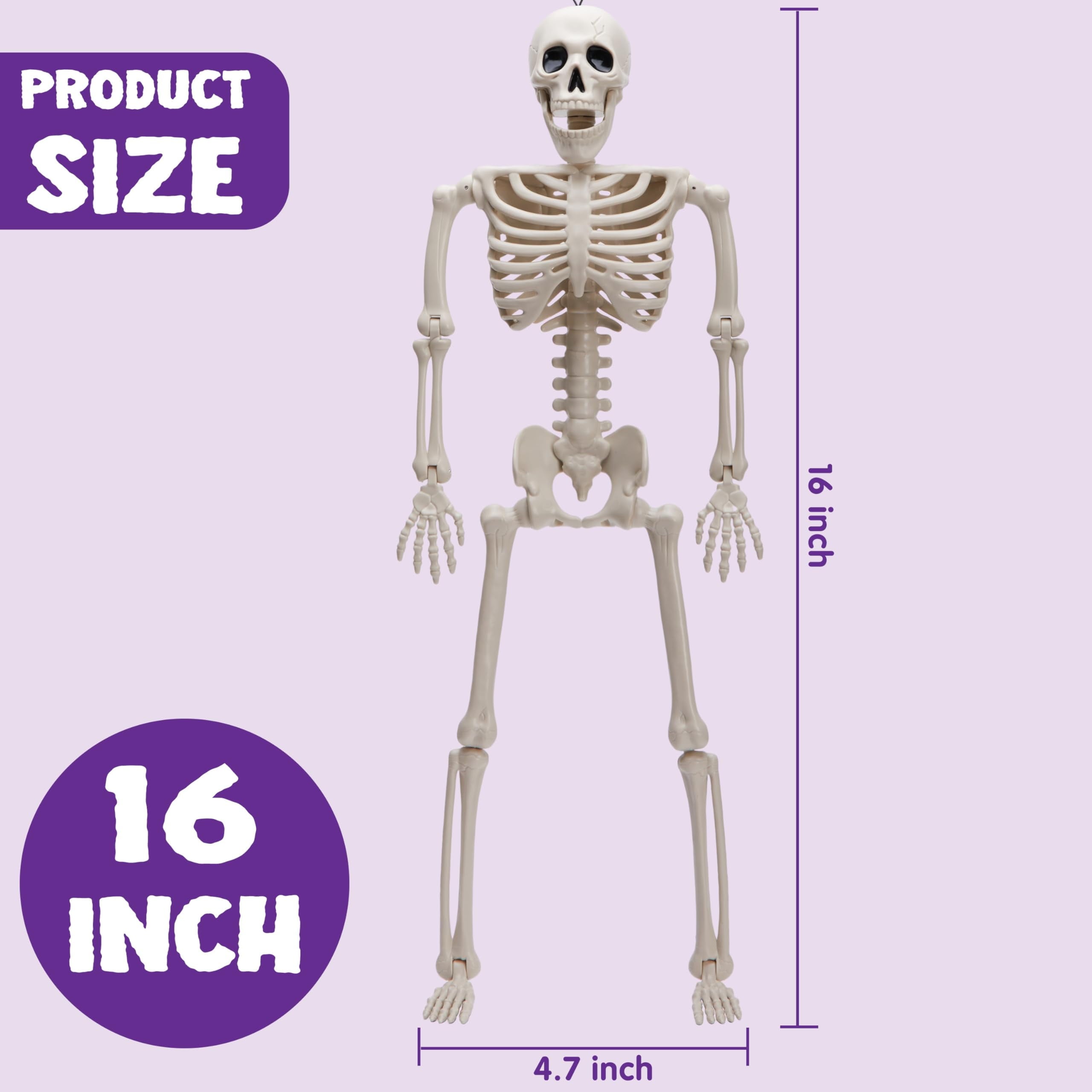 Joyfy 5 Pcs Halloween Skeleton Decorations,16 inch Full Body Poseable Skeleton with Movable Joints for Halloween Indoor Outdoor Party,Graveyard,Haunted House Accessories,White