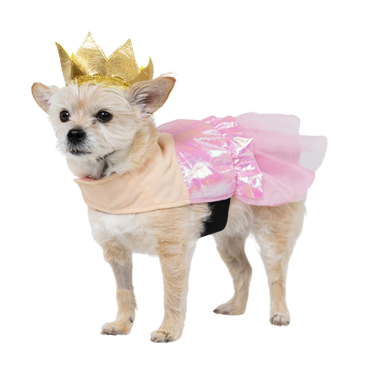 Vibrant Life Halloween Good Witch Costume for Dogs, Pink and Gold, Medium