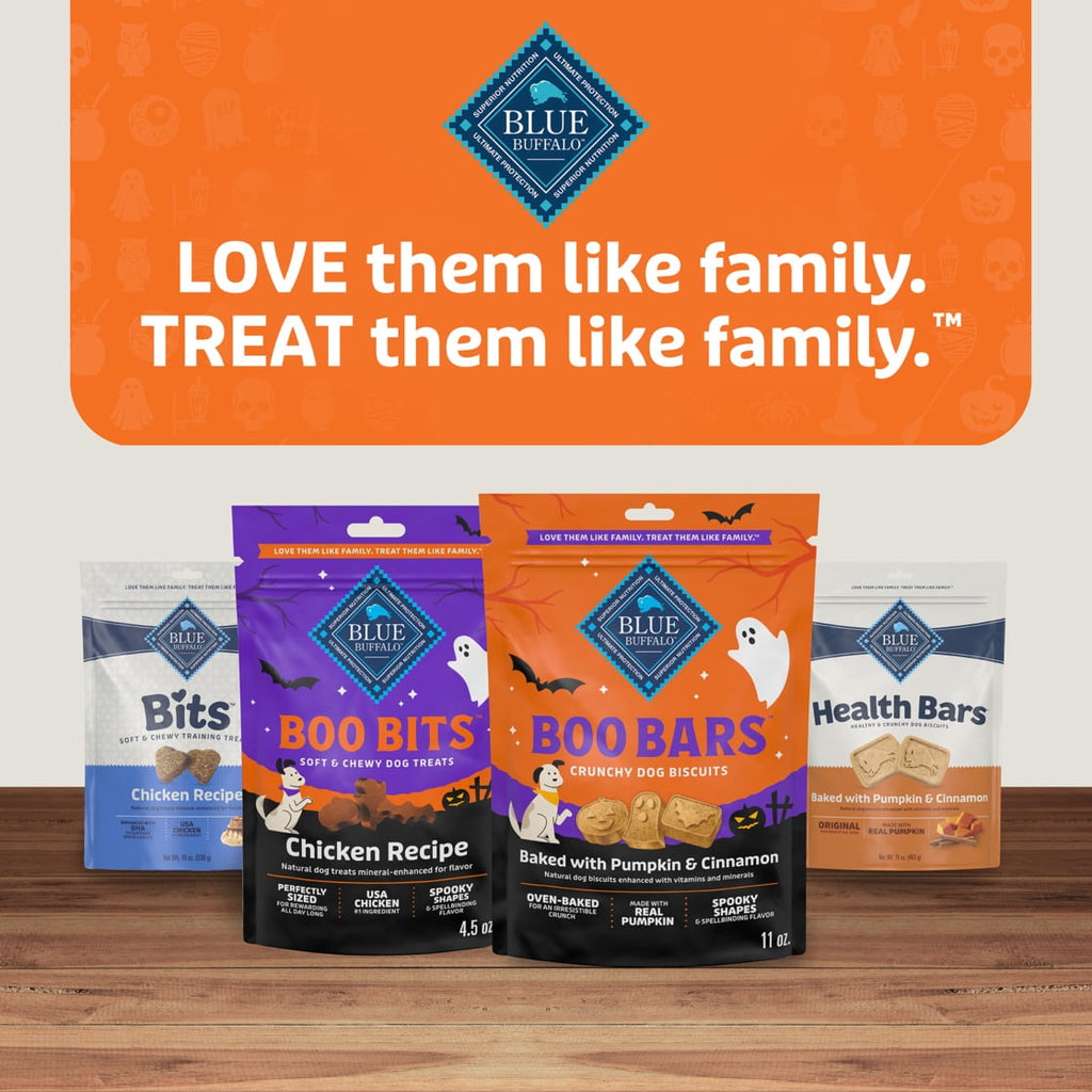 Blue Buffalo Boo Bars Crunchy Halloween Dog Biscuits Pumpkin & Cinnamon Recipe 11-oz Bag