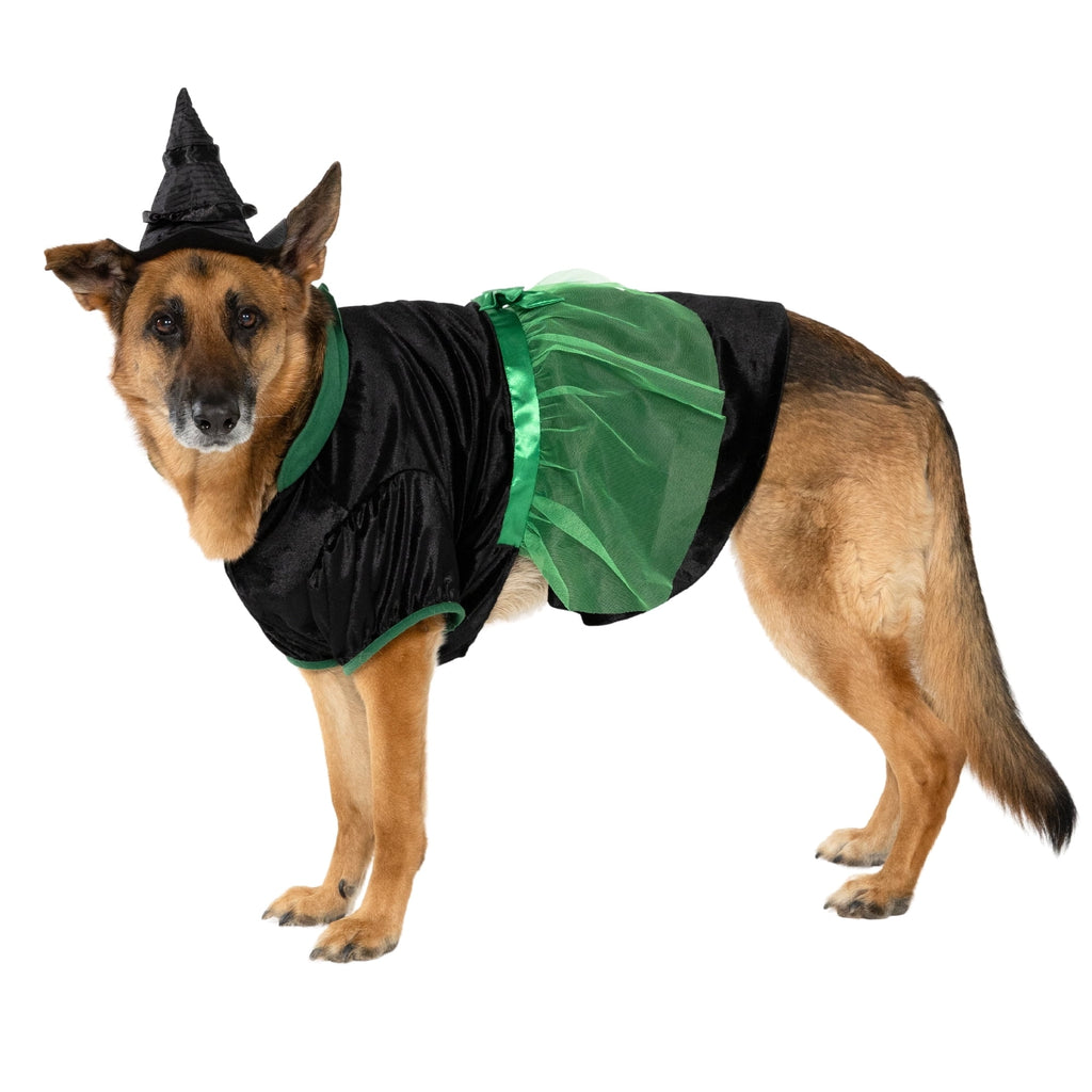 Vibrant Life Halloween Bad Witch Costume for Dogs, Green and Black, Extra Large