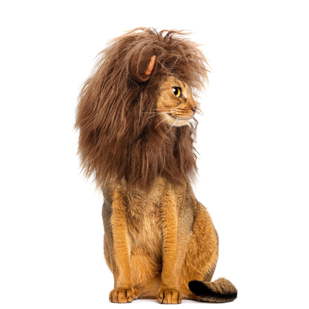 Lion Mane Wig for Cats, Funny Pet Cat Costumes for Halloween Christmas (Size S, Black)